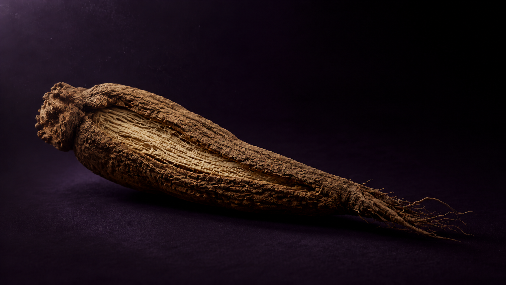 Root