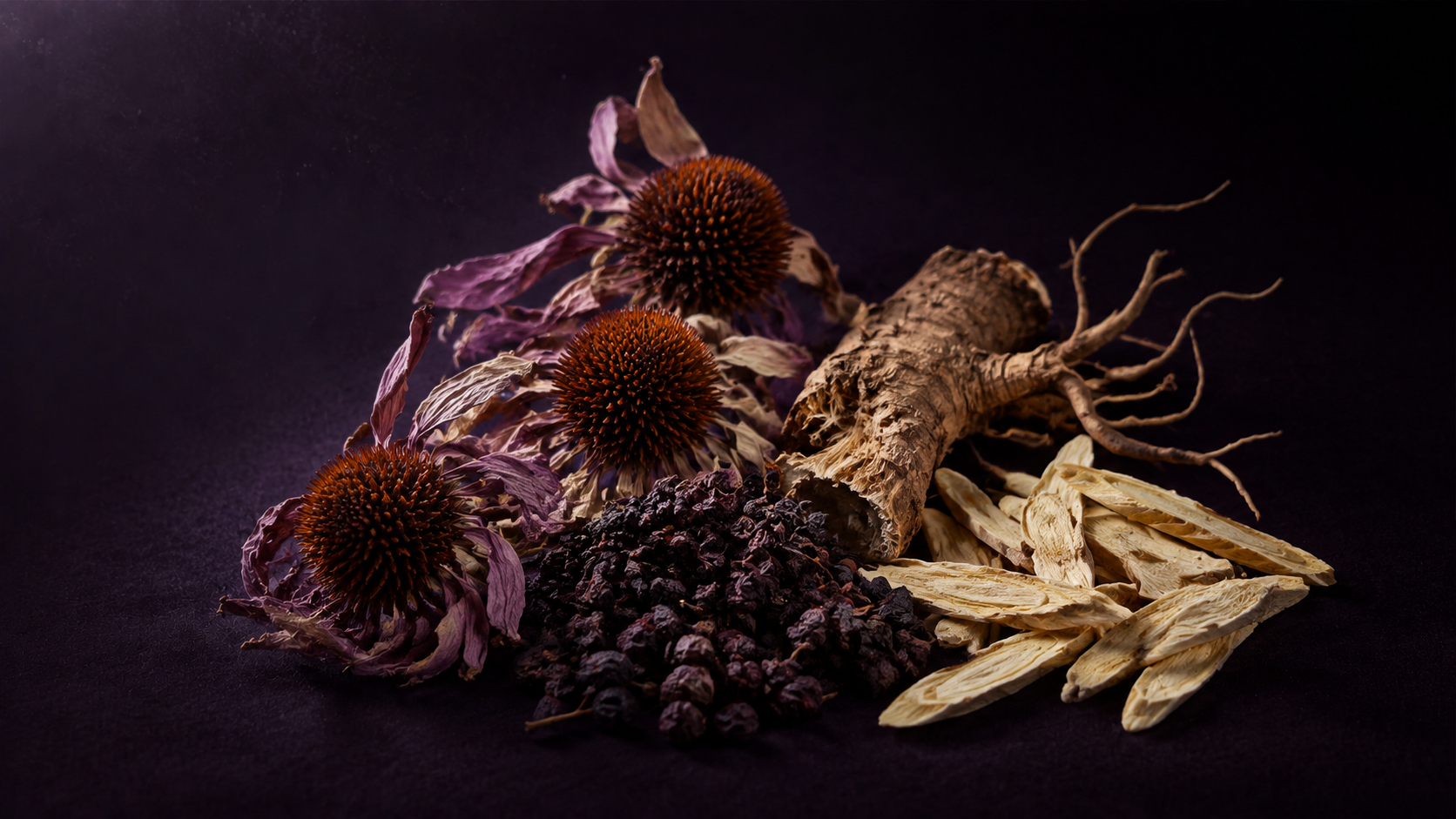 Immune Support