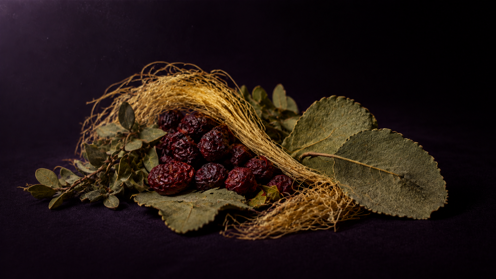 Urinary Tract Support