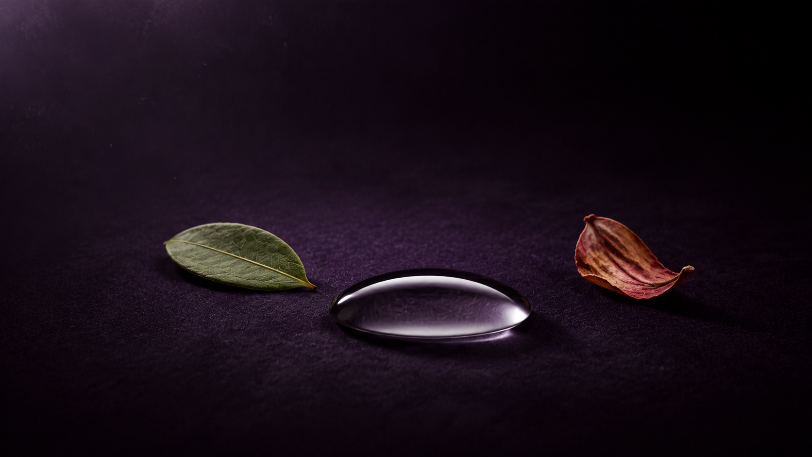 Cosmetics & Personal Care