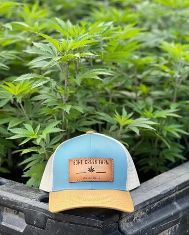 A Bone Creek Farm hat displayed in front of healthy outdoor cannabis plants.