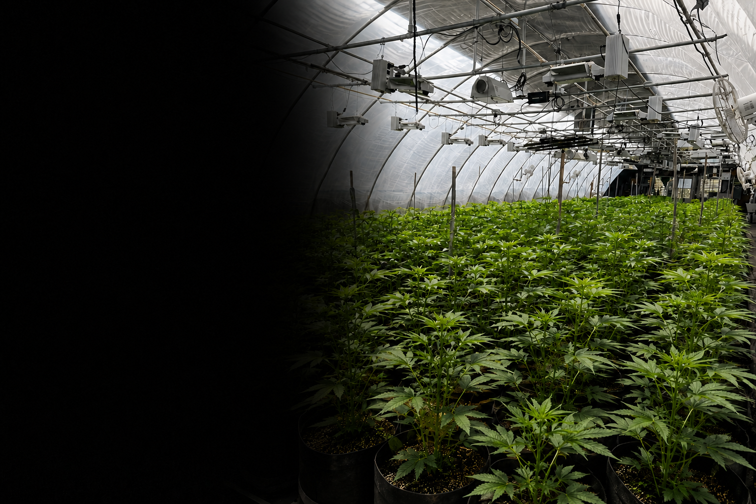 Bone Creek Farm greenhouse cultivation