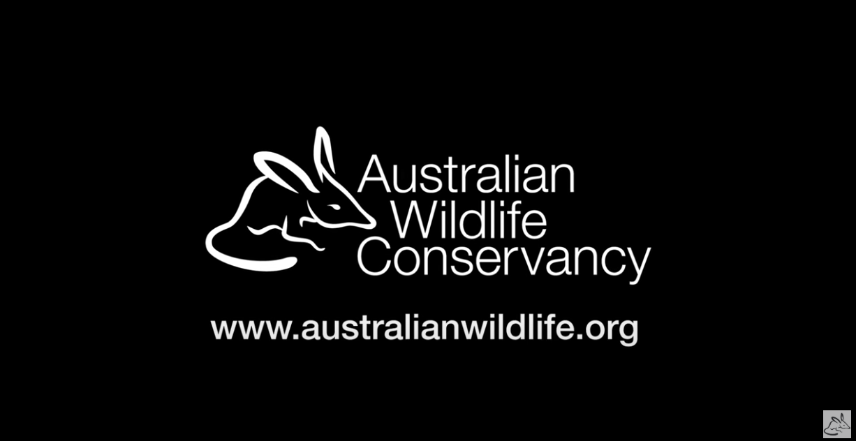 VIDEO: A Decade of Bold Action | Australian Wildlife Conservancy’s Strategic Plan 2025-2035