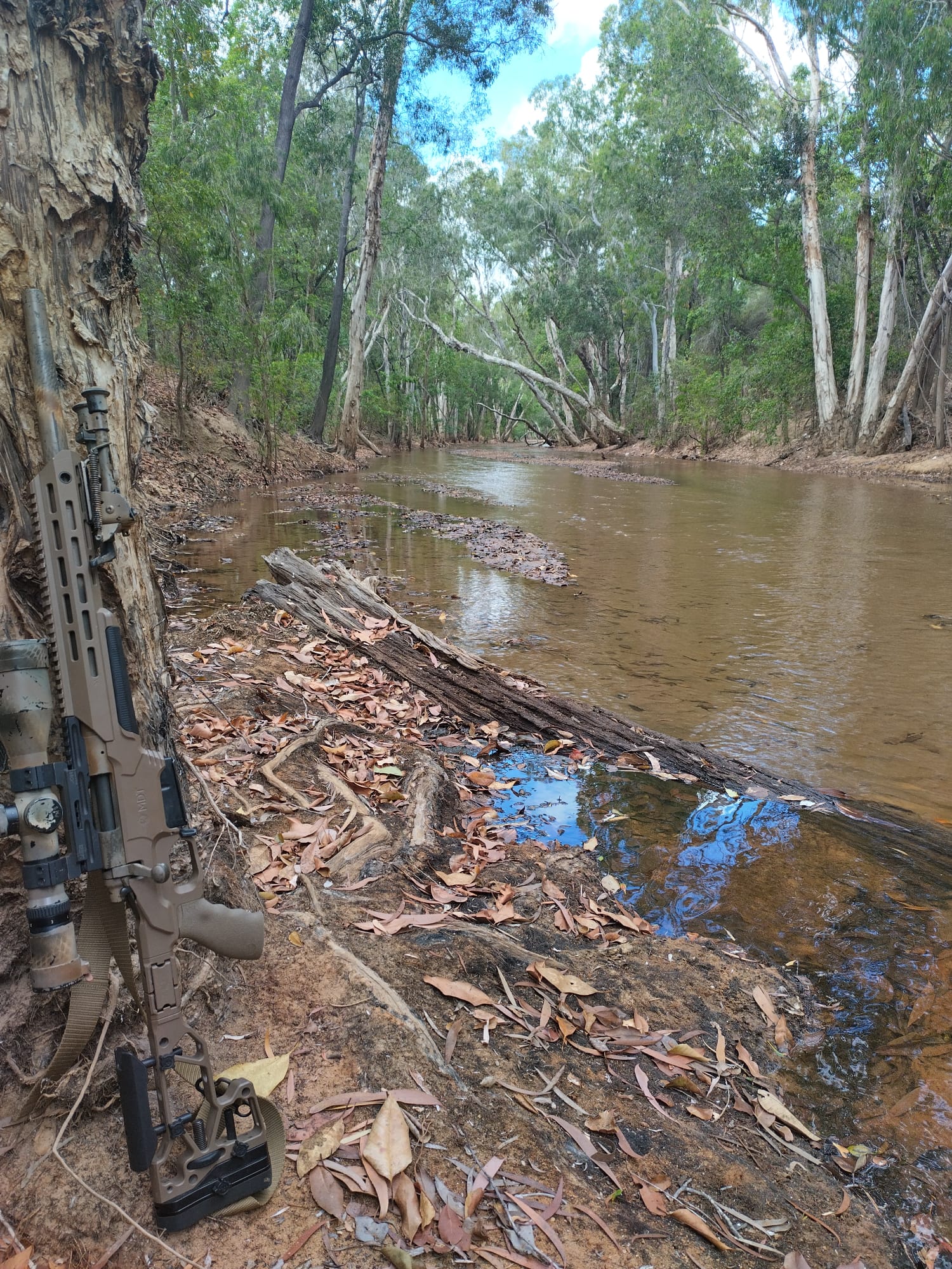 Shallow creek crossing through paperbark and fallen timber