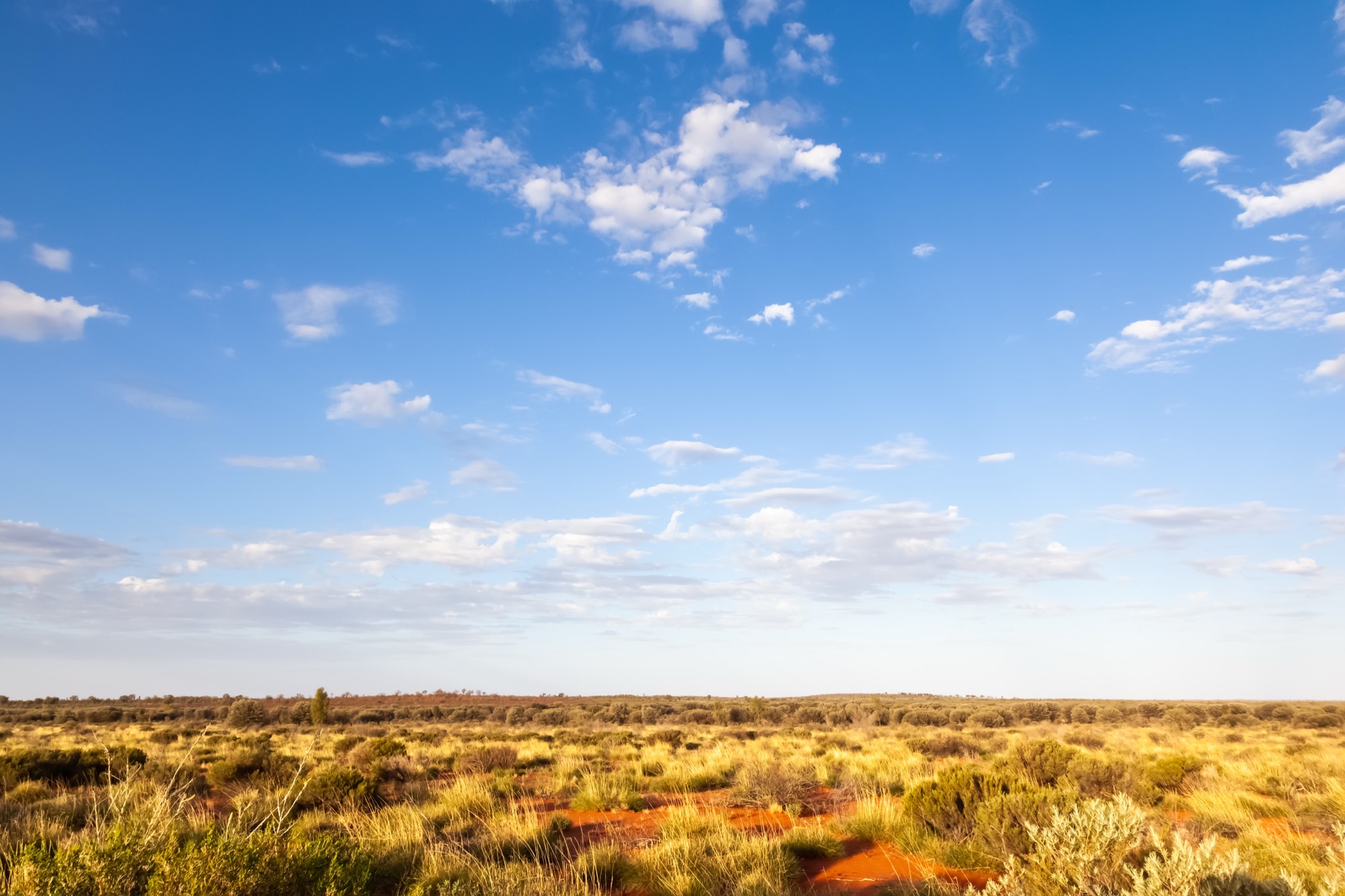 PLACEHOLDER - replace with HuntNQ Northern Territory photo