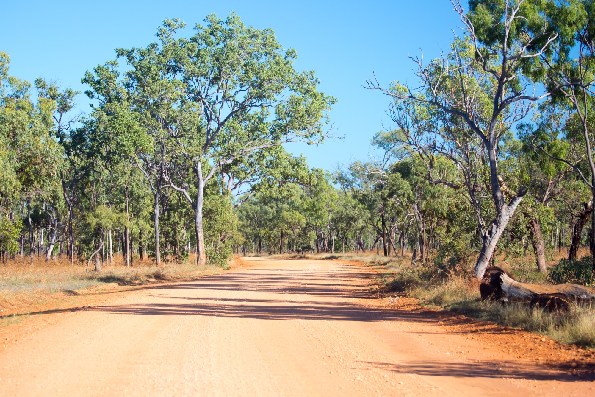 PLACEHOLDER - replace with HuntNQ Northern Territory photo