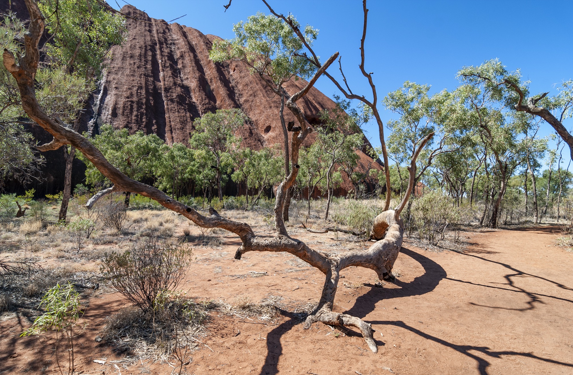 PLACEHOLDER - replace with HuntNQ Northern Territory photo