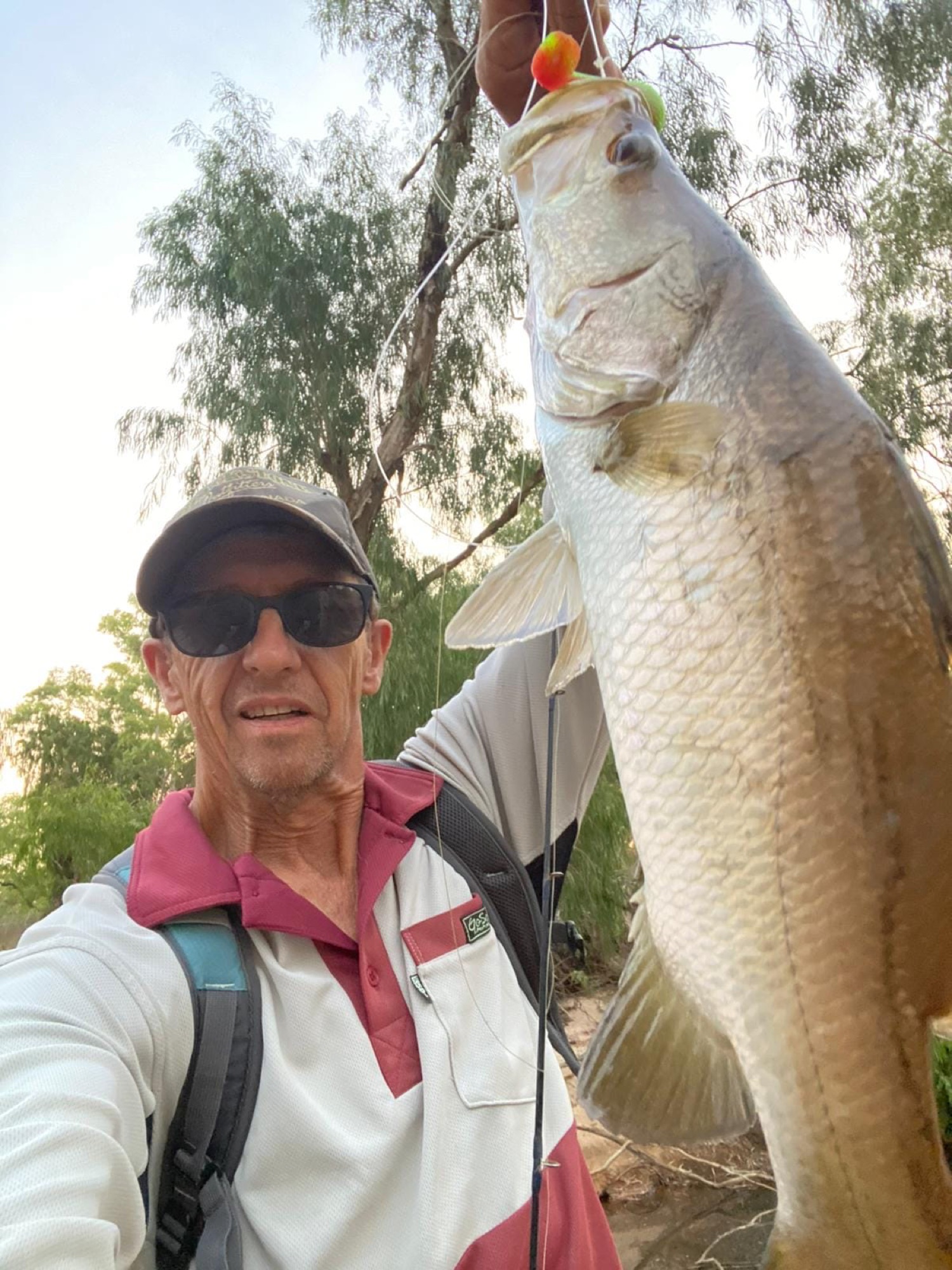 An angler holding a barramundi beside the water