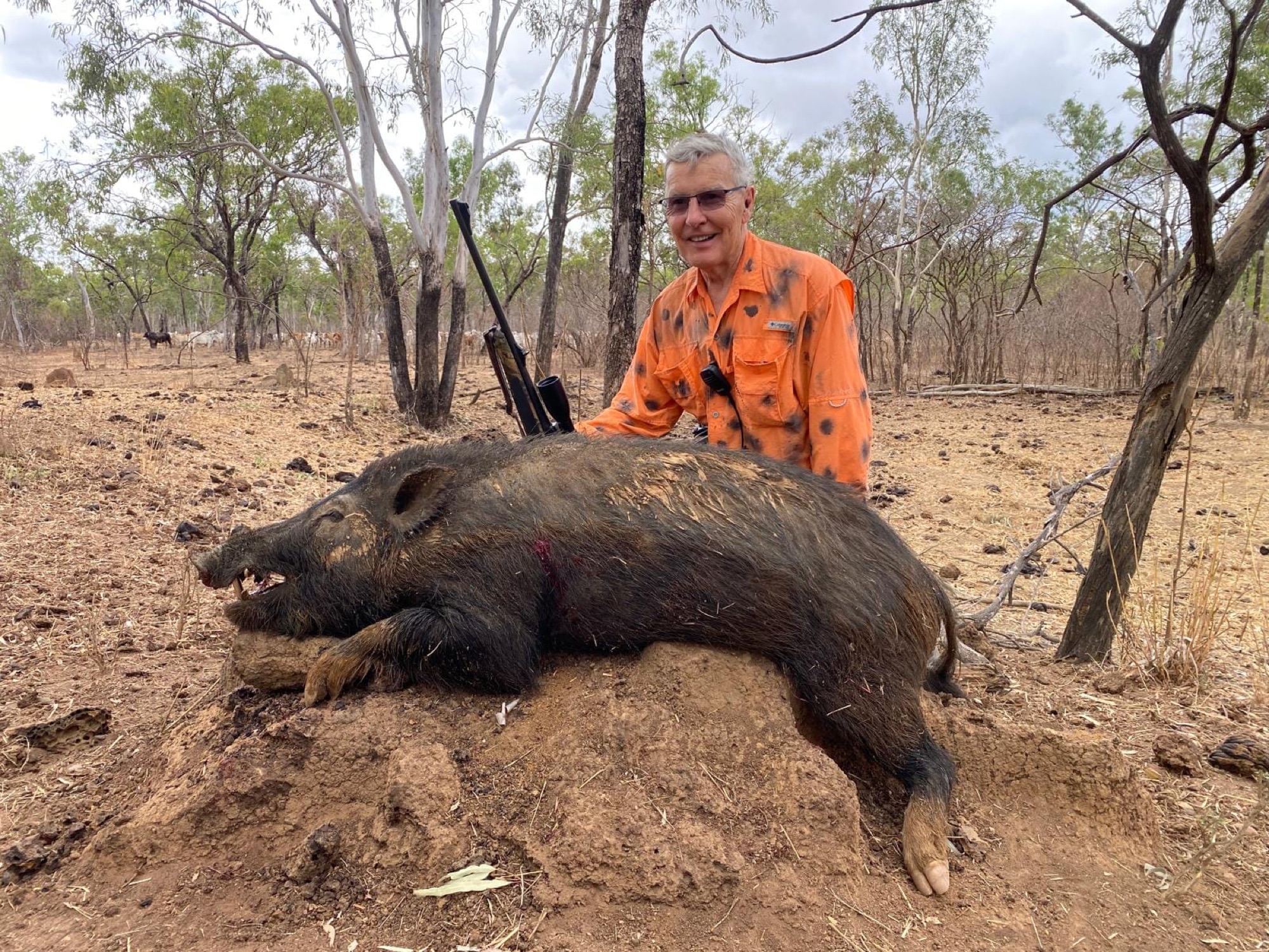 A wild boar taken on red dirt country