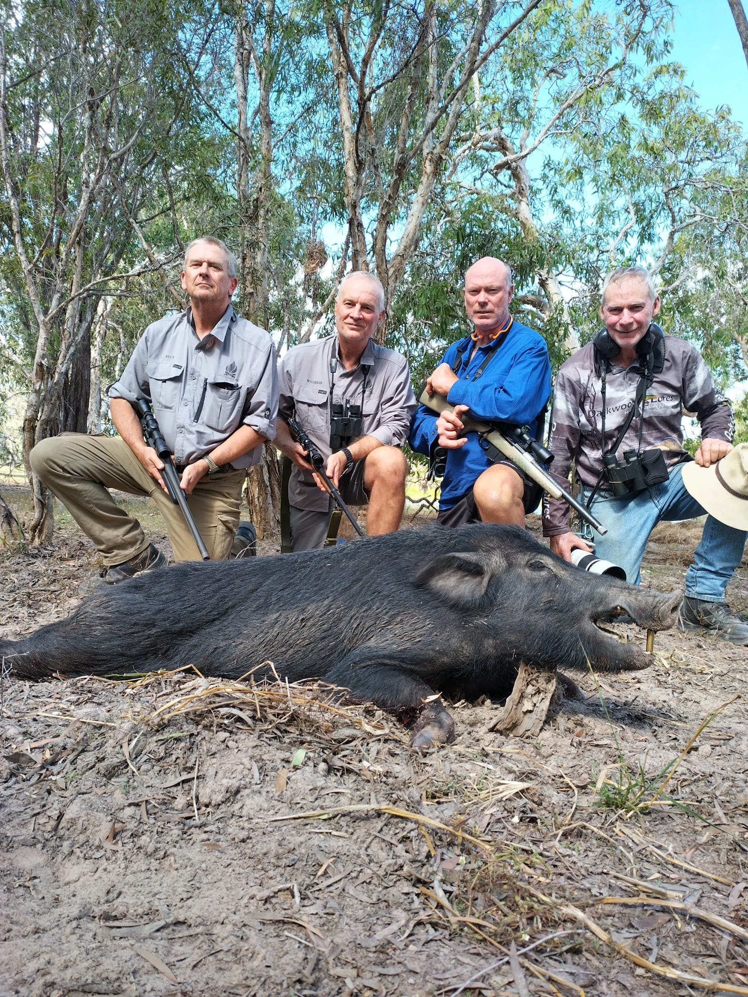 Four hunters kneeling in a line behind a wild boar in open forest