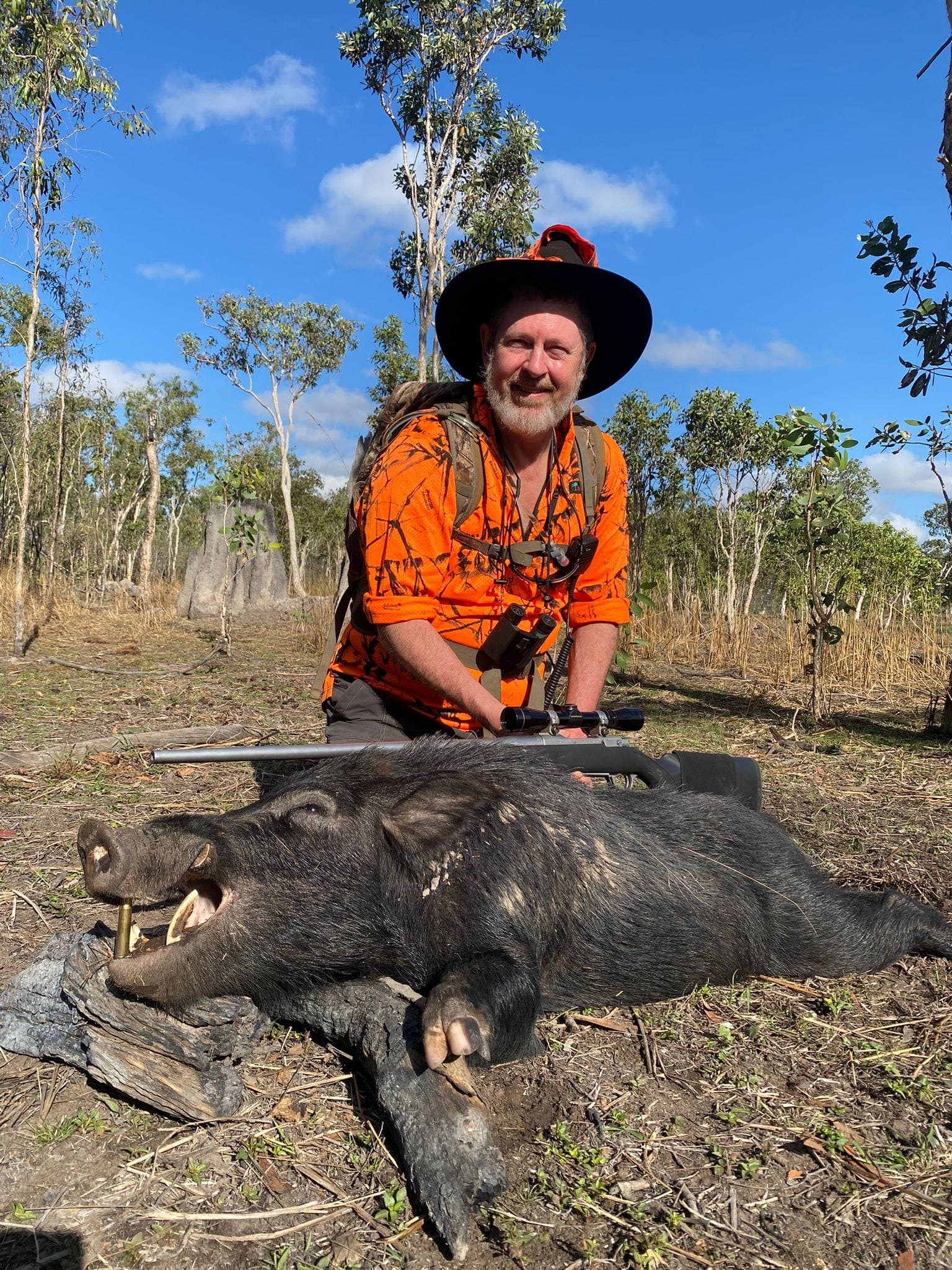 A hunter in an orange shirt and wide-brim hat kneeling behind a wild boar