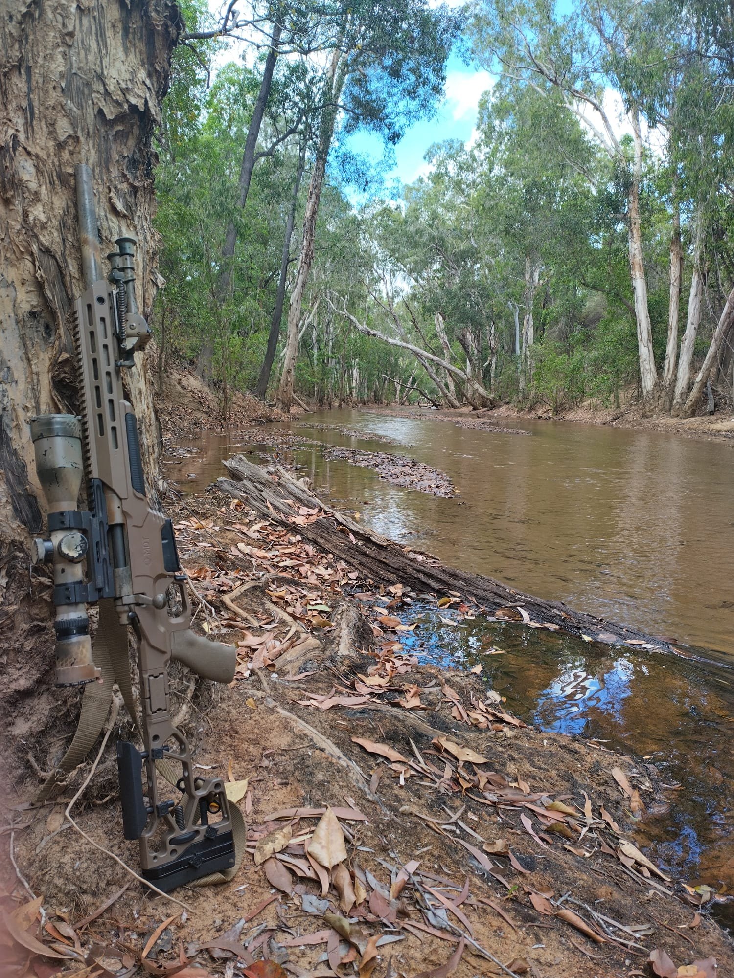 A scoped rifle leaning on a paperbark tree beside a river