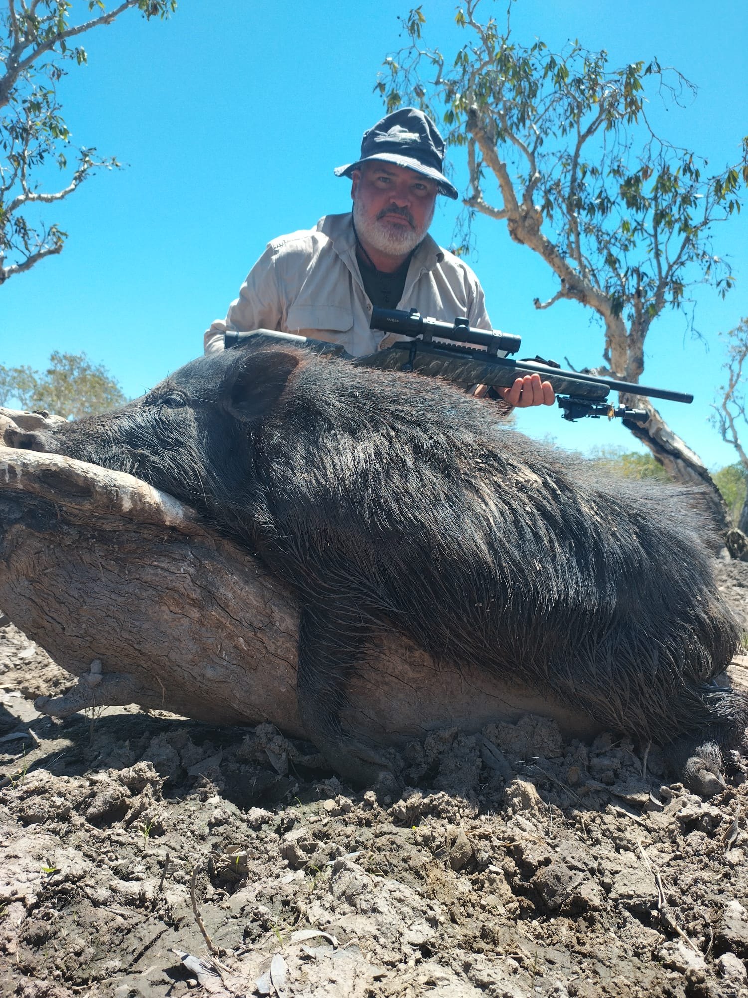 A hunter in a wide-brim hat kneeling behind a large wild boar draped over a log
