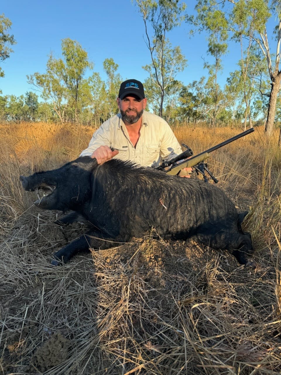 A hunter with a rifle crouched behind a black wild boar in golden grass