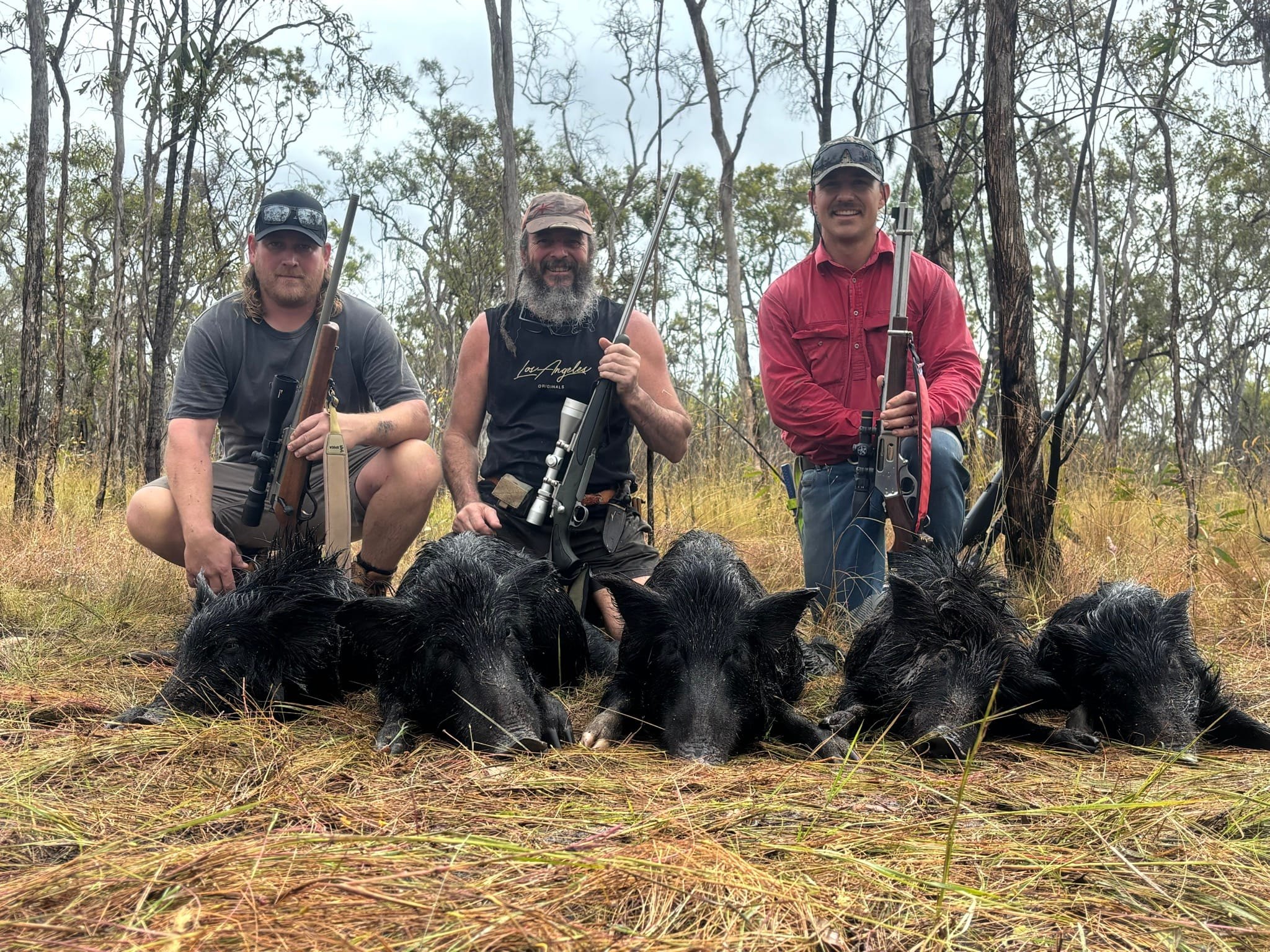 Three hunters kneeling behind a line of five wild boar in dry grass