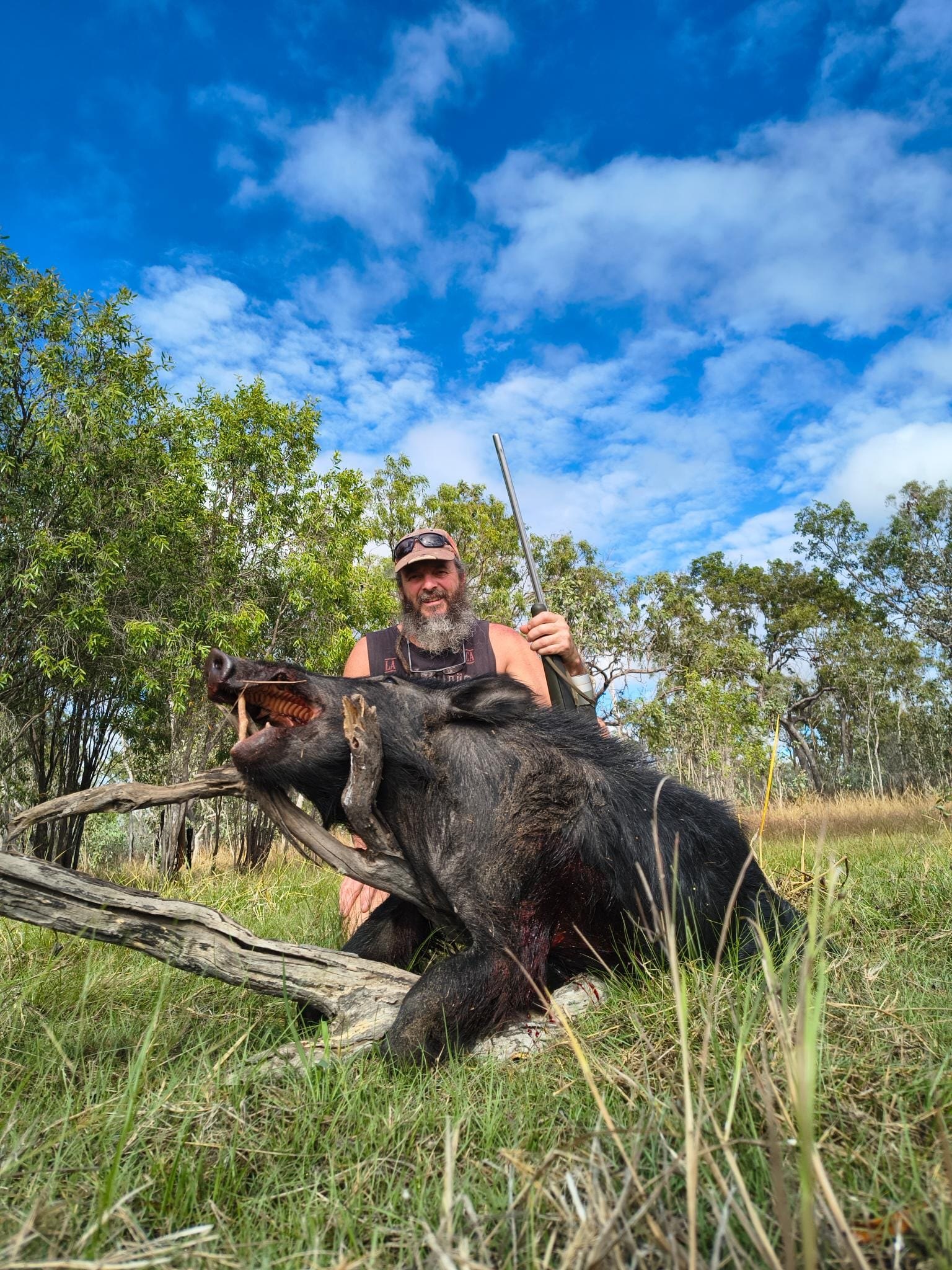 A hunter with a rifle behind a wild boar against a blue sky with scattered cloud