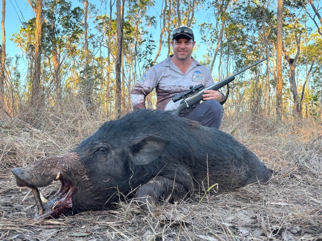 A hunter with a rifle resting on a wild boar in dry grass