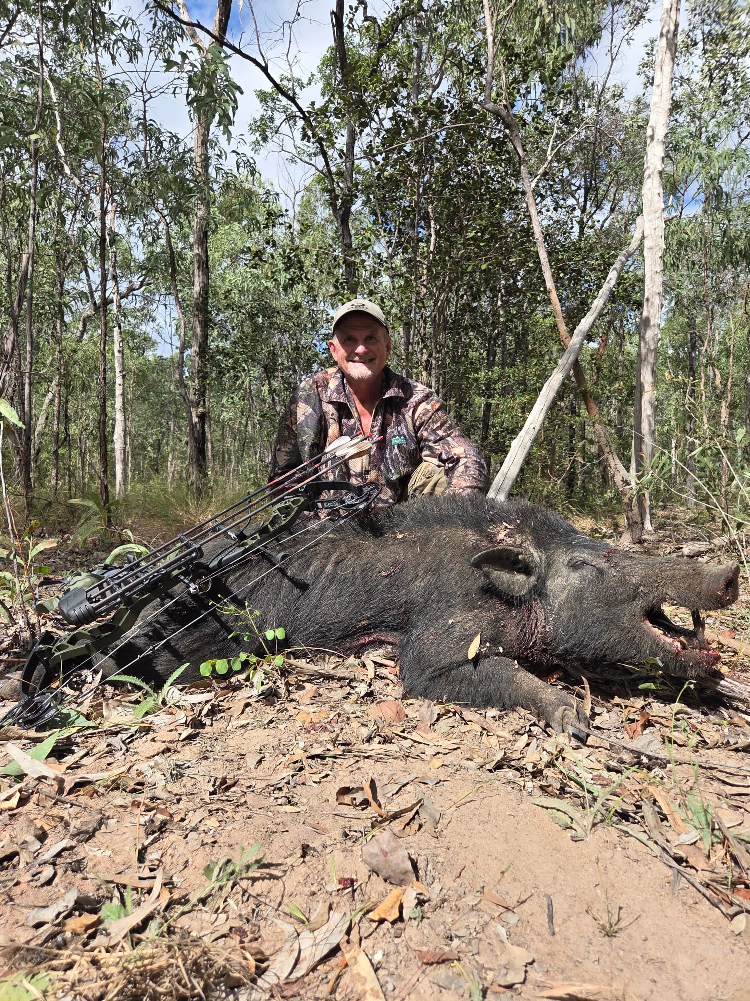 A bowhunter in camouflage crouching behind a wild boar with a compound bow