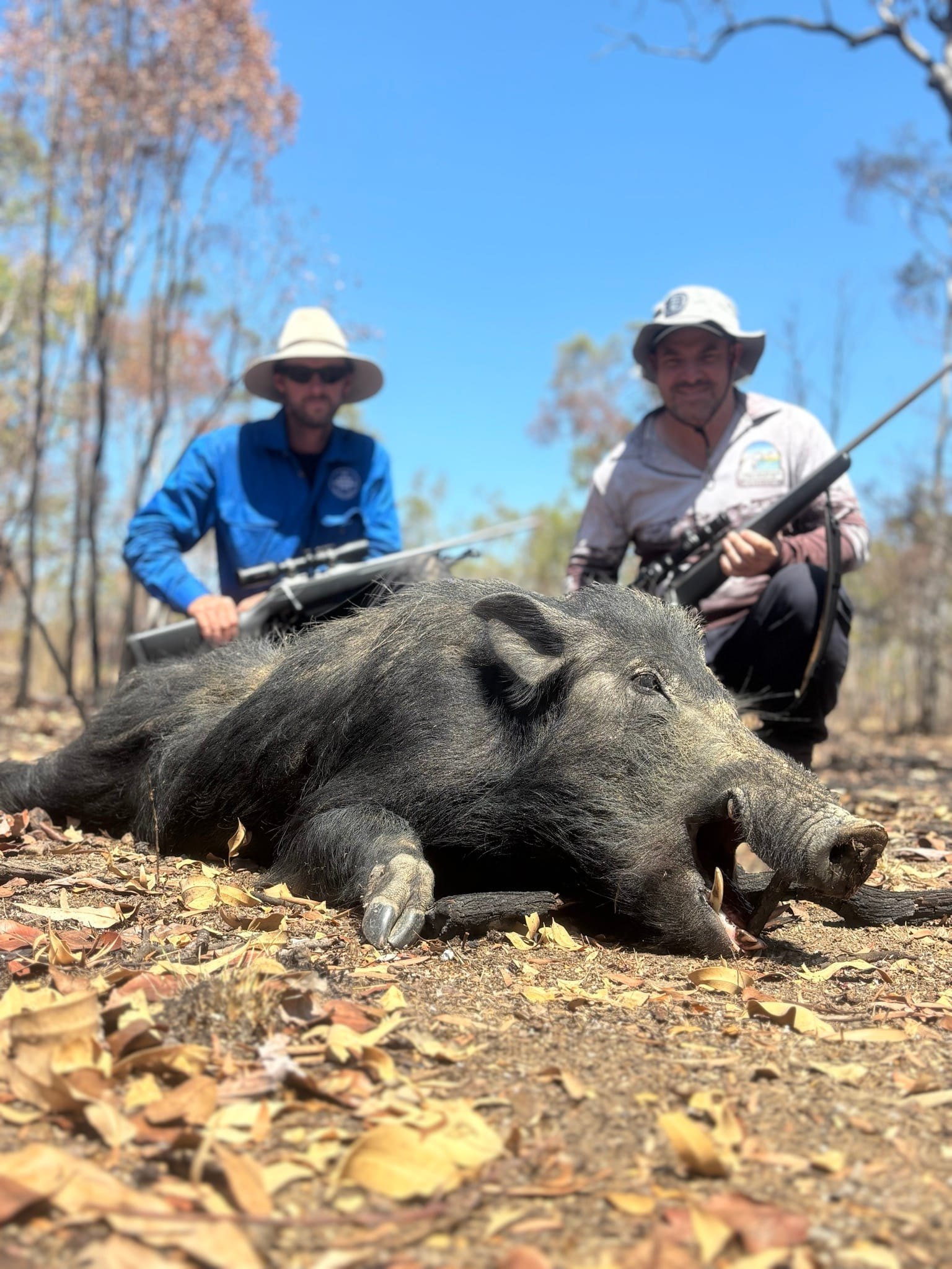 Two hunters in wide-brim hats crouching behind a wild boar in open country