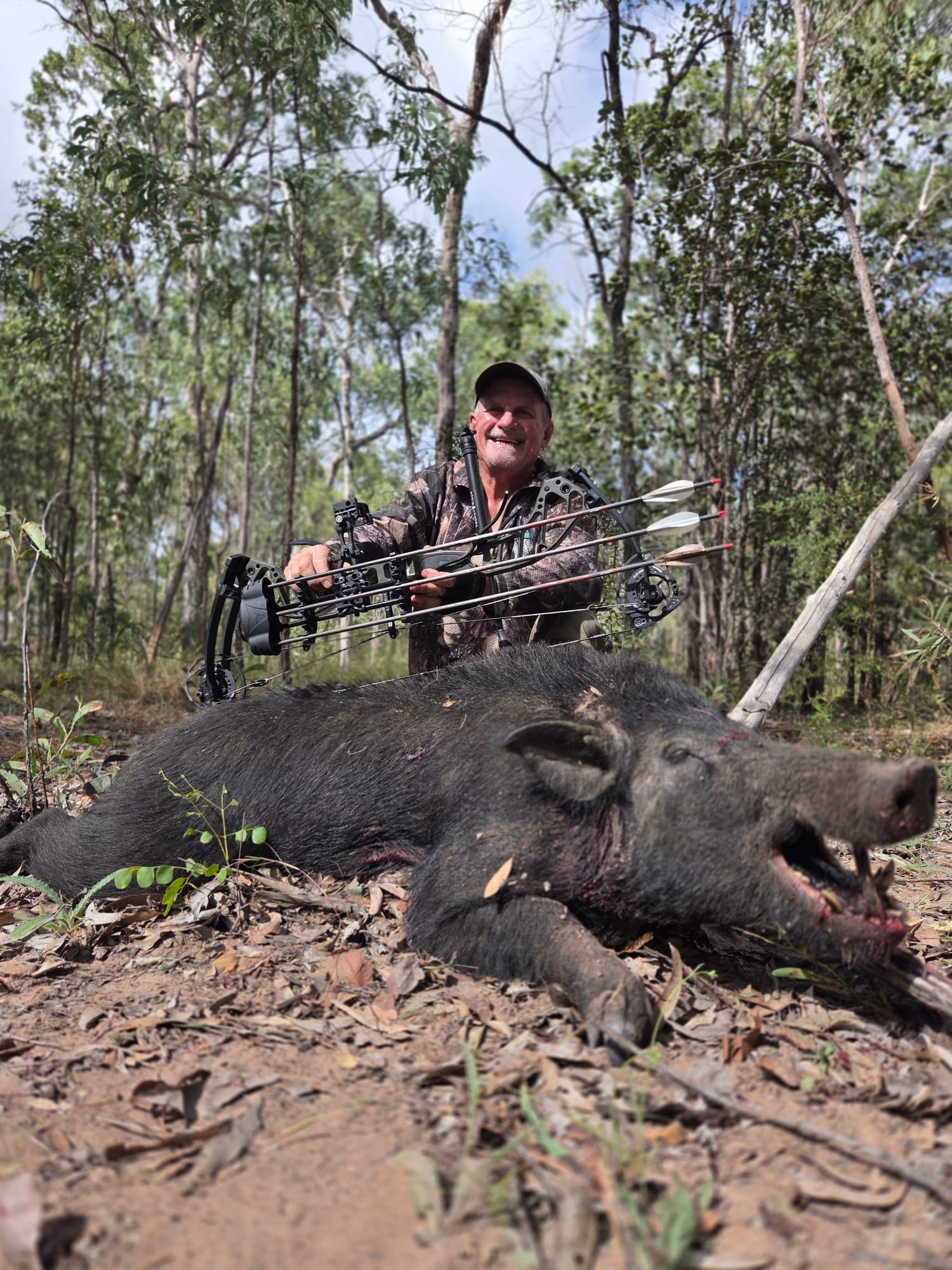 A bowhunter in camouflage holding arrows behind a wild boar