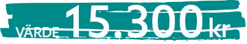 Text showing value of 15,300 kr in white on a teal brushstroke background.