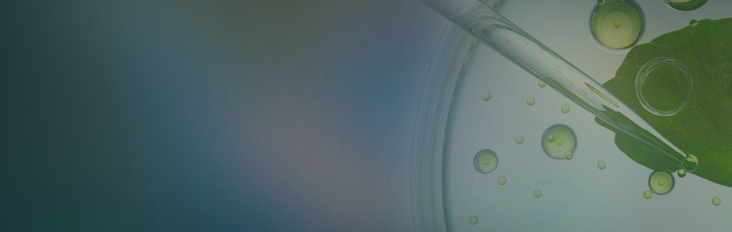 Glass dropper releasing liquid droplets onto a green leaf with bubbles in a petri dish.
