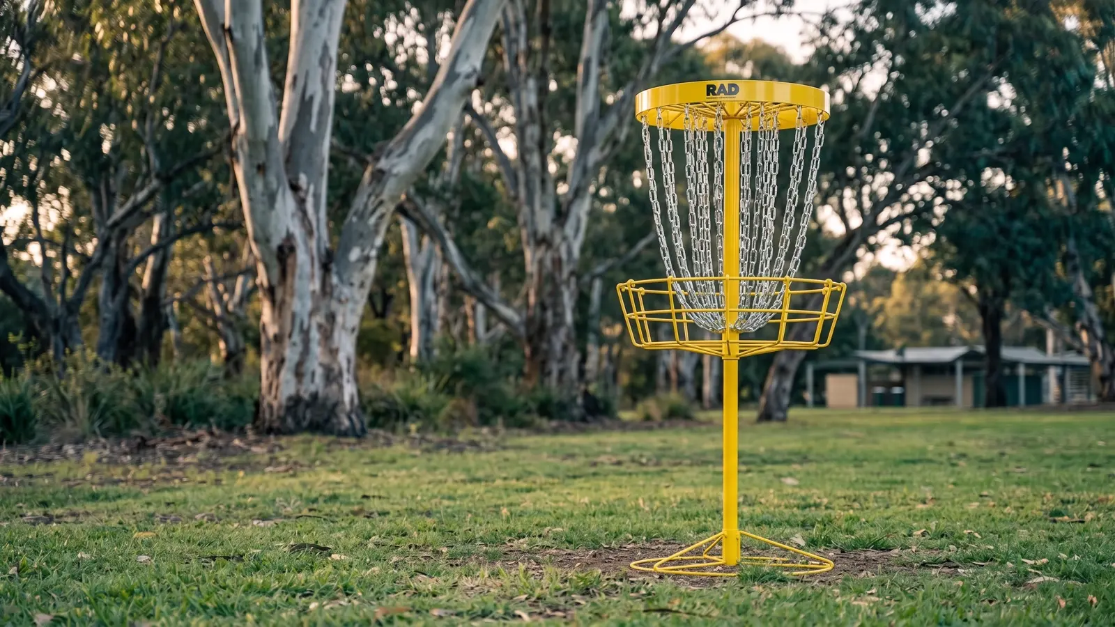 Discs available for guests to borrow