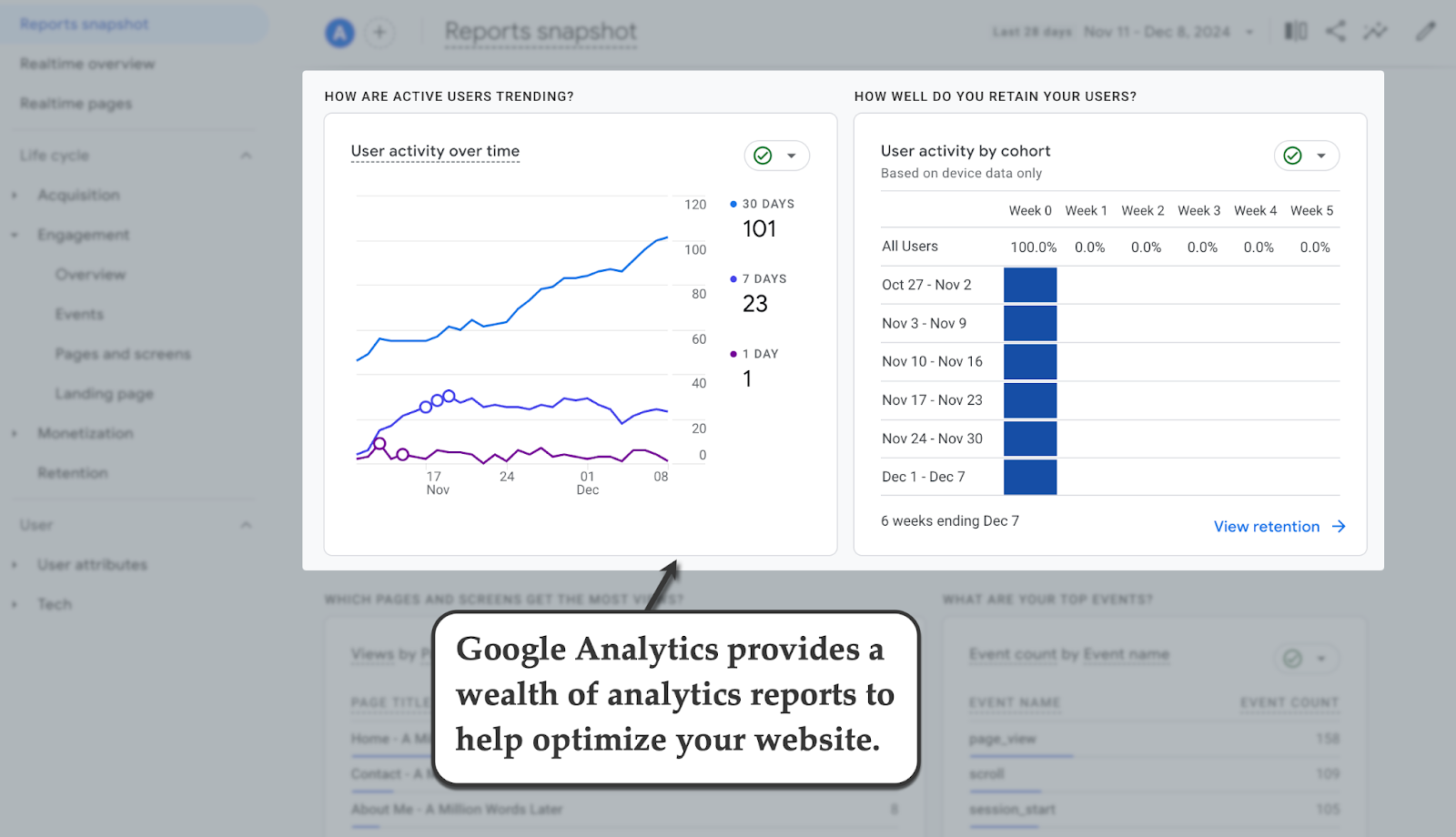 Google Analytics report showing user activity trends and cohort retention