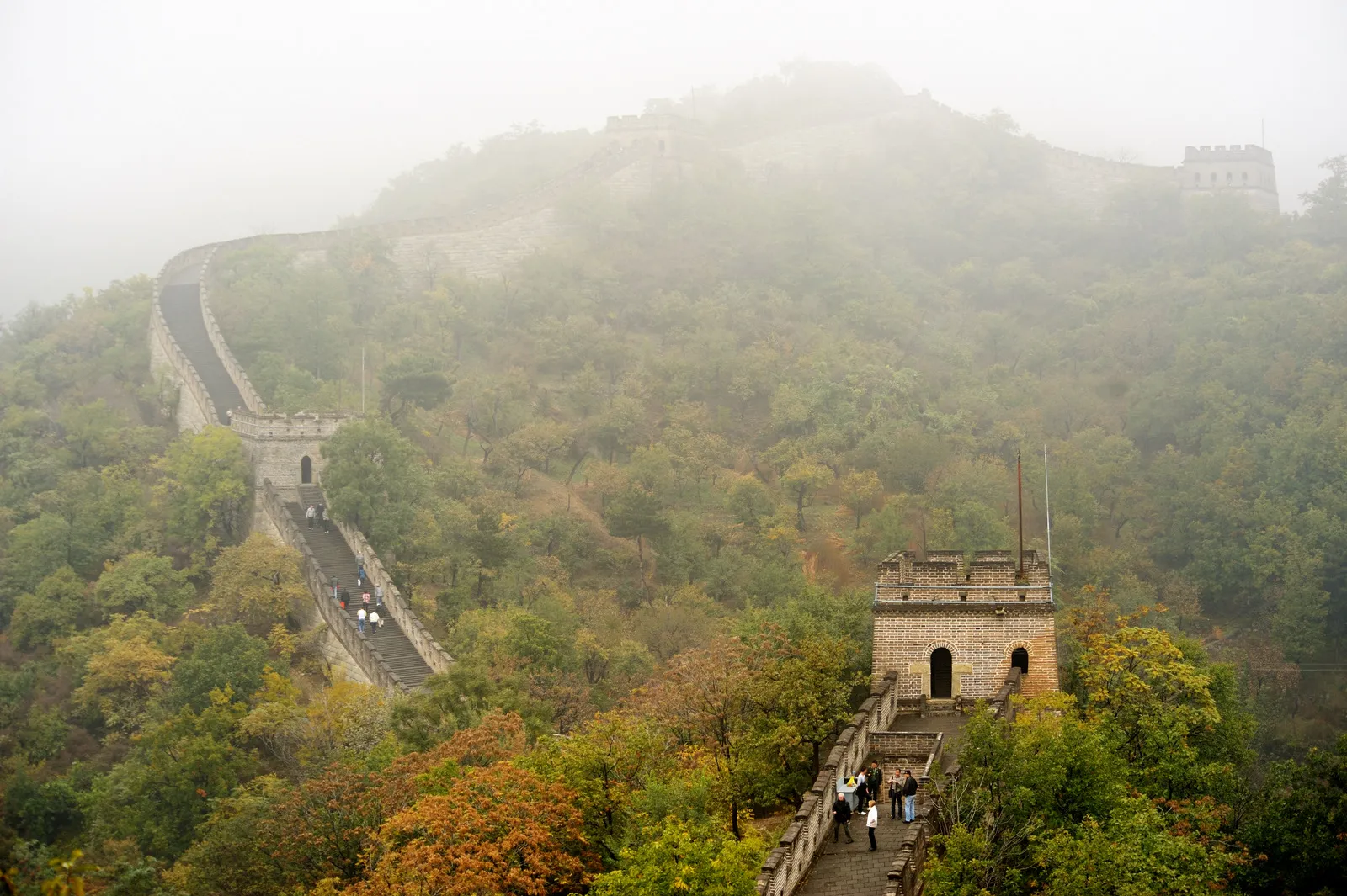 The Great Wall of China winding through misty wooded hills
