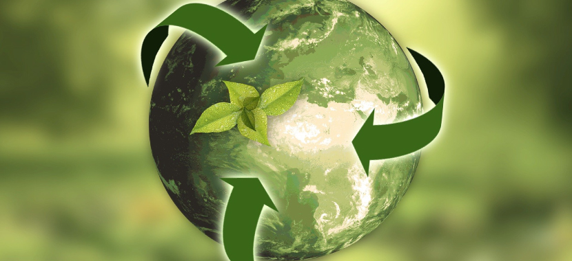 Projet de loi Climat et Résilience