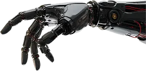 Vector Image