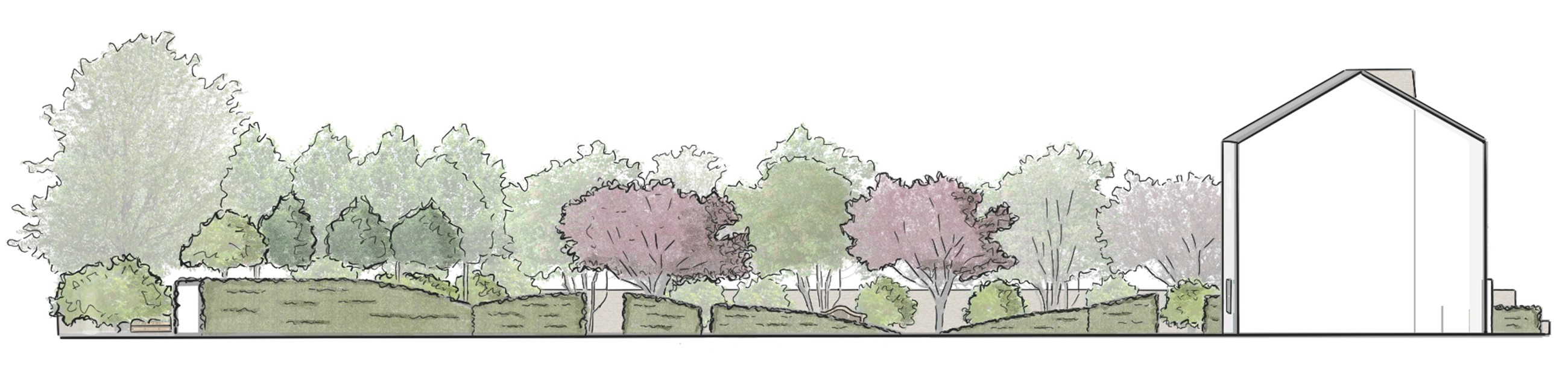 A drawn long section of the garden, sculpted hedges running out from the house