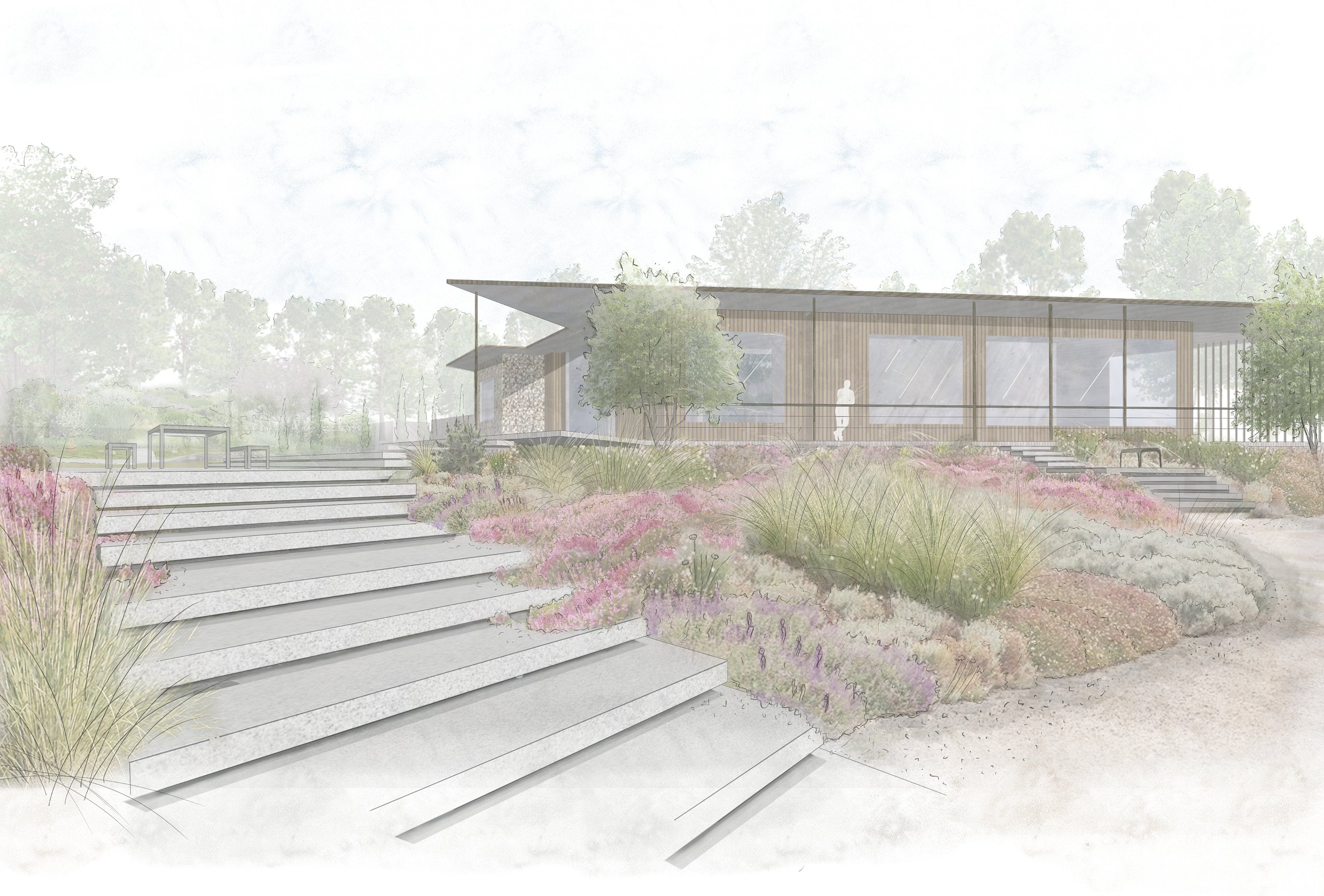 Broad concrete steps descending through heathland grasses and shrubs