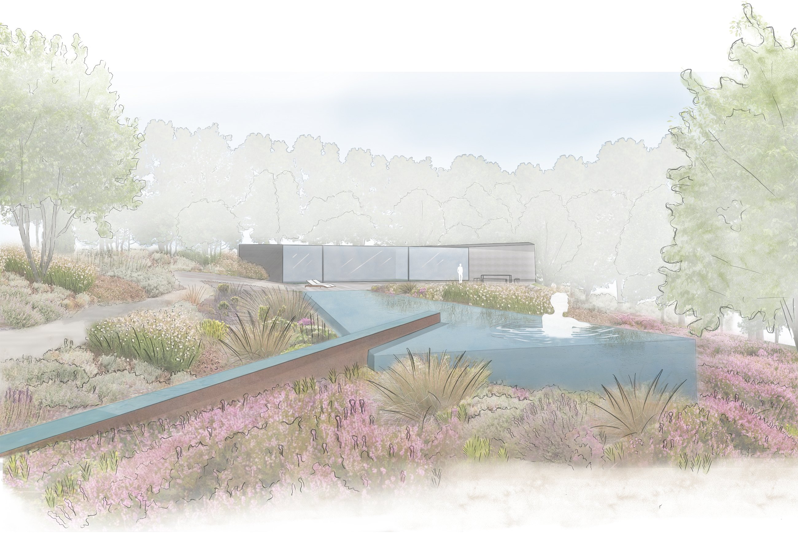 An infinity pool set into heathland planting, open to the valley beyond