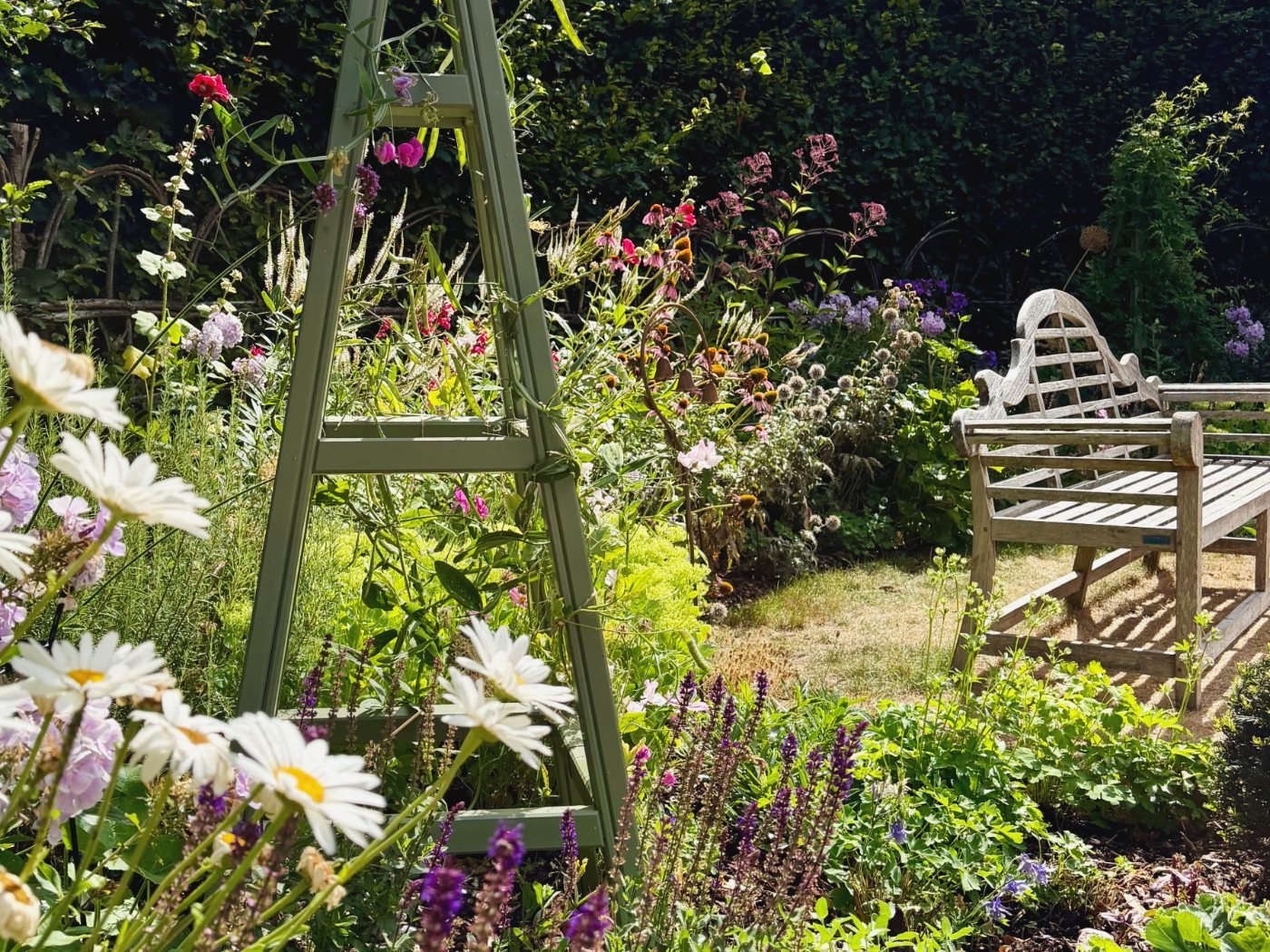 A Farnham Cottage Garden