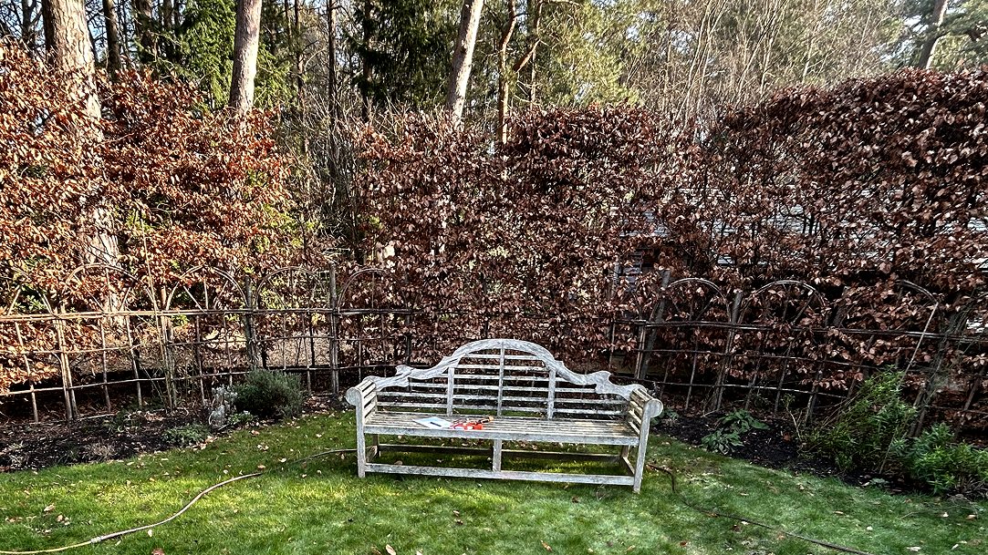 The border before planting, bare sandy soil along the fence line