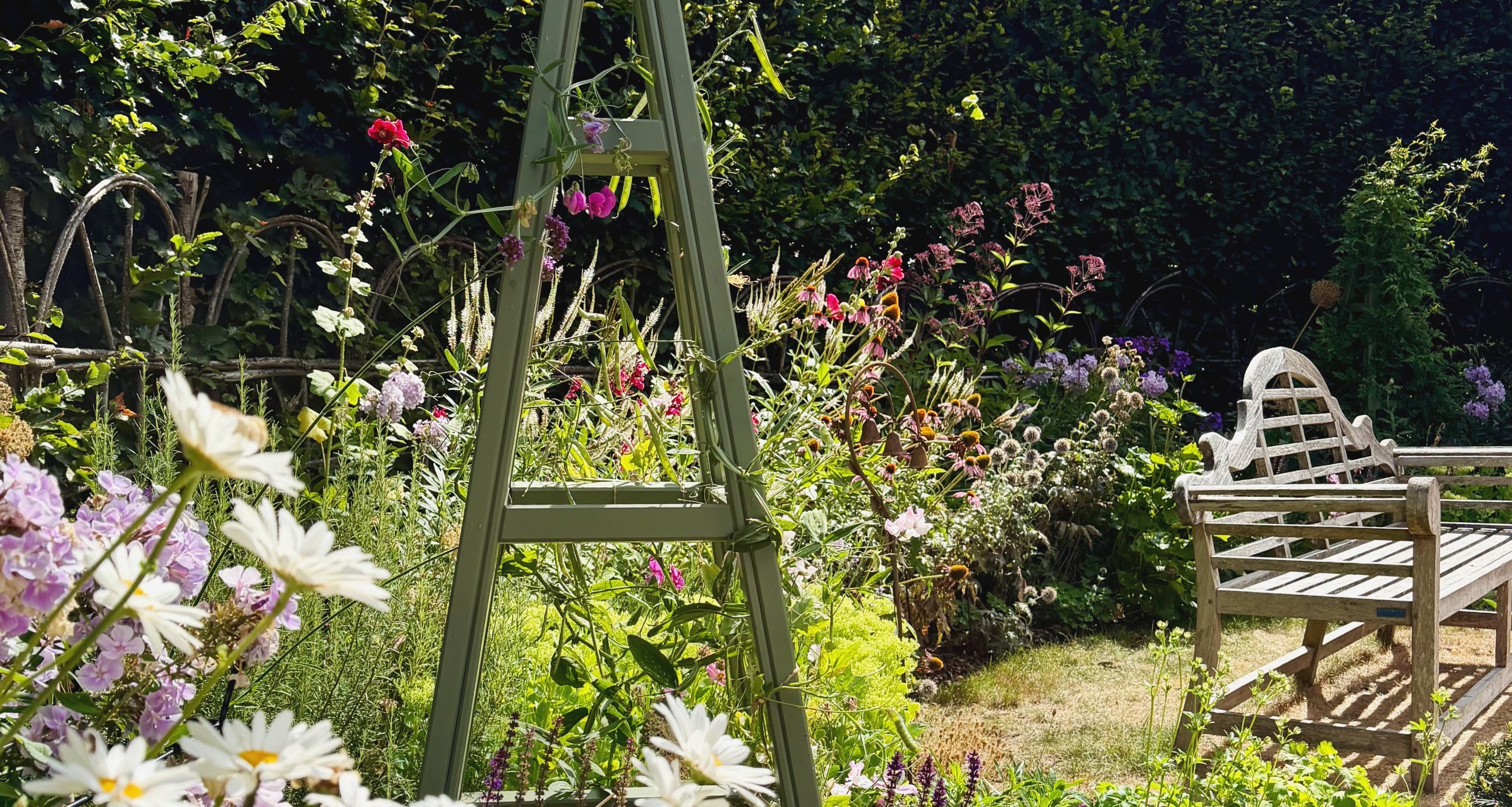 The cottage border in its second spring, in full flower