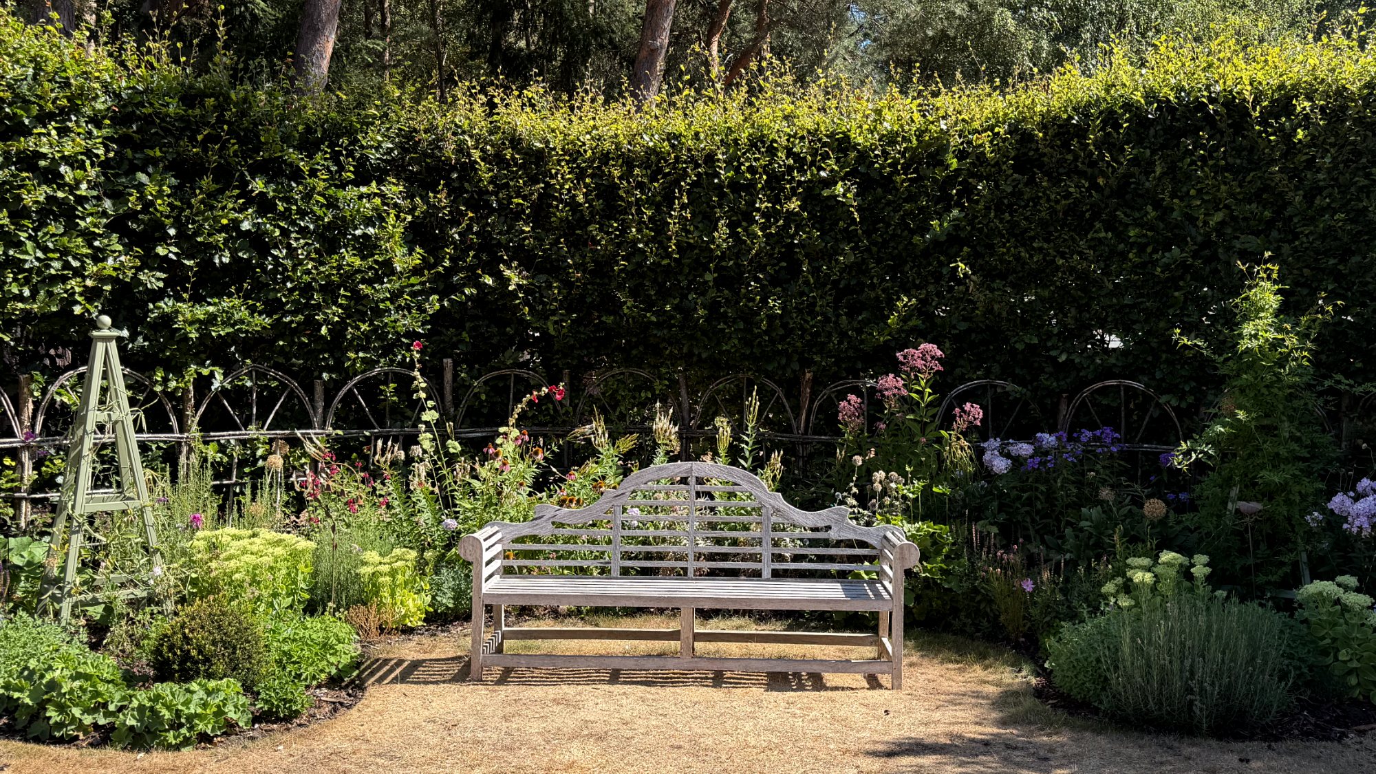 The border in high summer, fully established