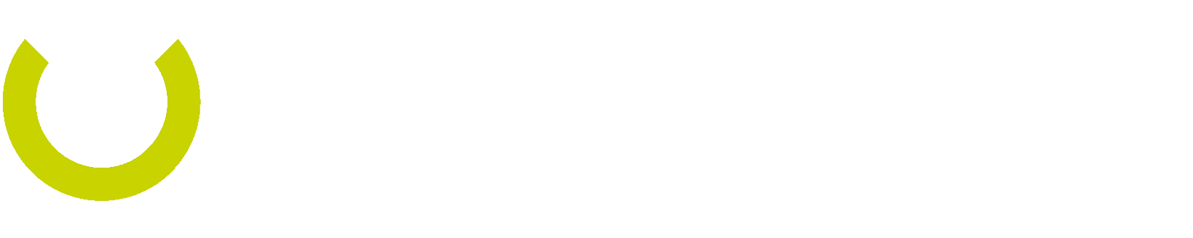 Kfz-Mechatroniker / Kfz-Diagnosetechniker (m/w/d) 