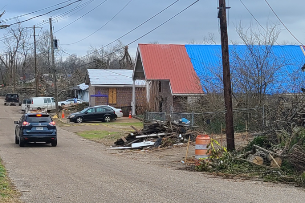 Selma slider 12