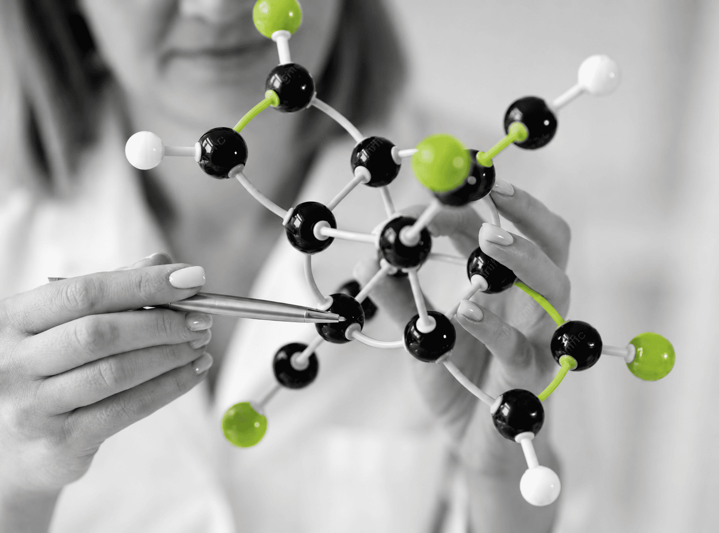 Where these compounds are sourced