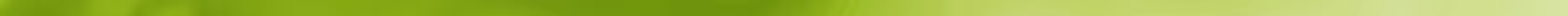 Close-up of green blades of grass with a blurred green background.