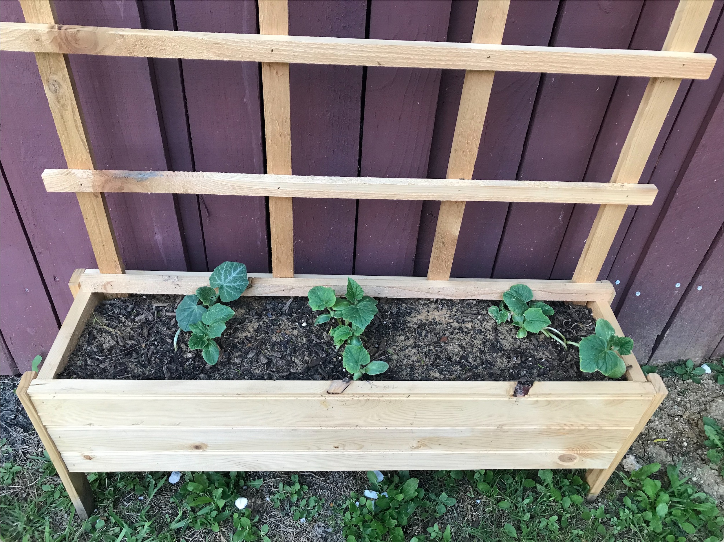 Wood planter with garden trellis
