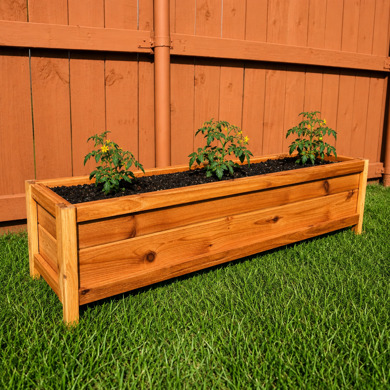 Cedar planter