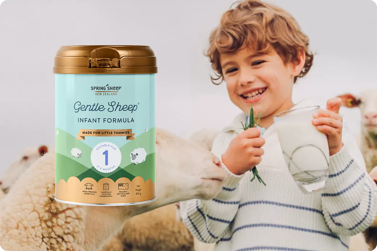 Smiling boy holding glass of milk and grass near a sheep with Gentle Sheep infant formula container.