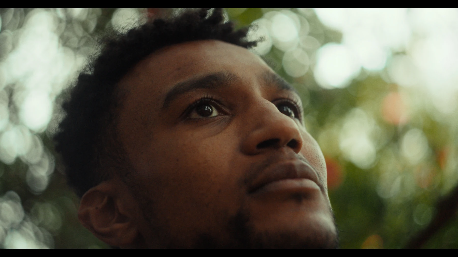 Indispensable — Nathan looks upwards beneath a canopy of leaves