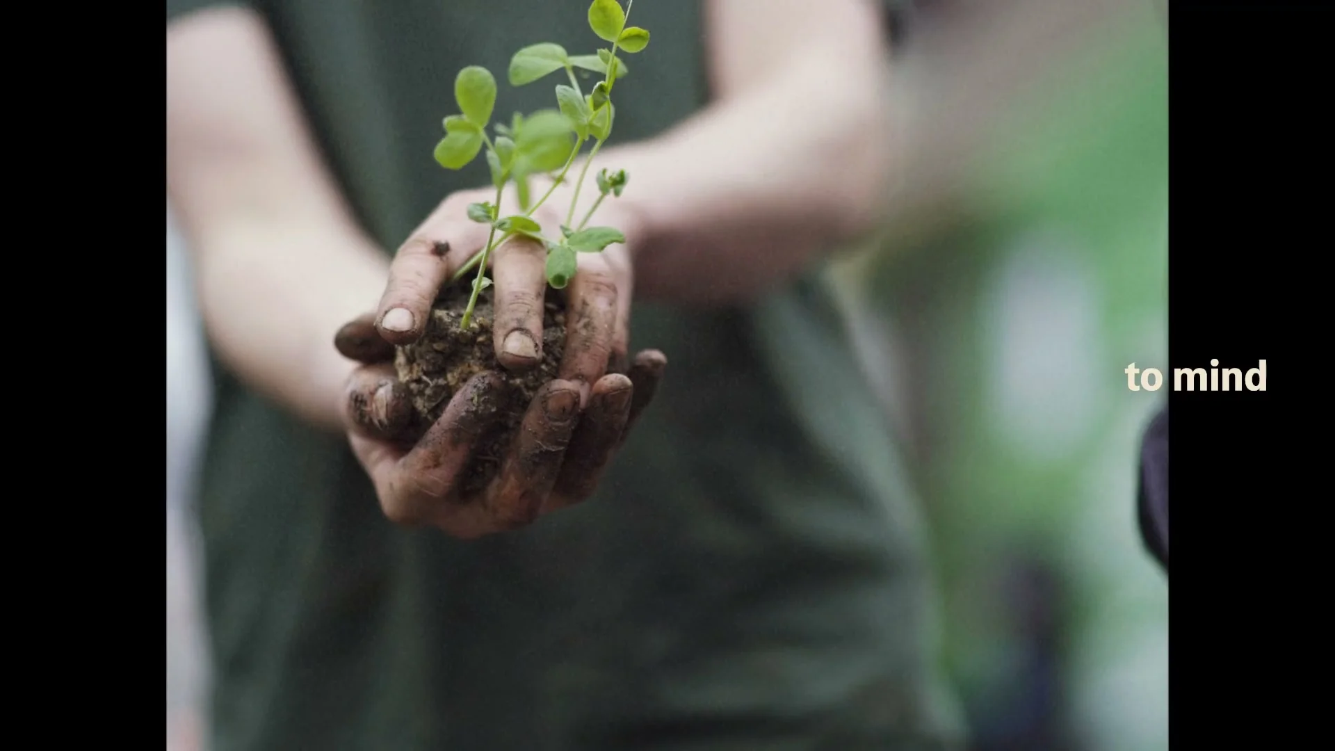 In Our Hands: Conversations on Climate — still 2
