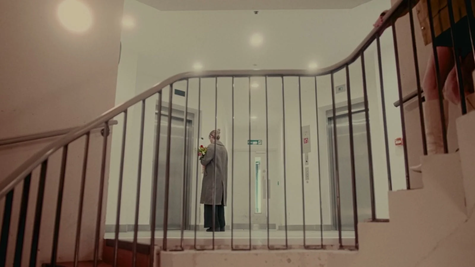 Starling — still 3