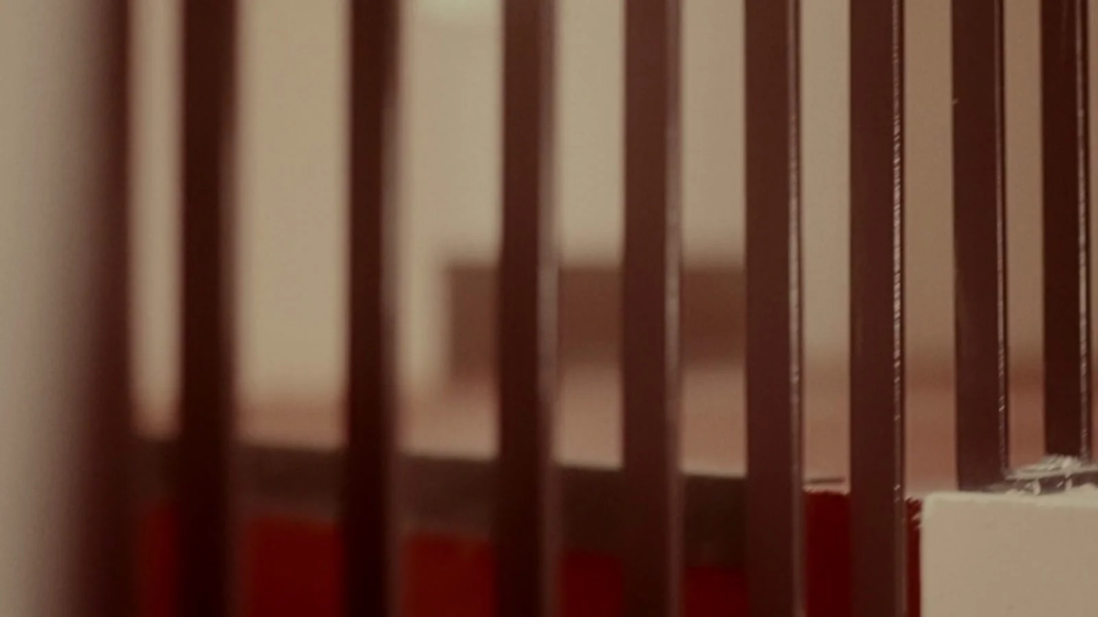Starling — still 4