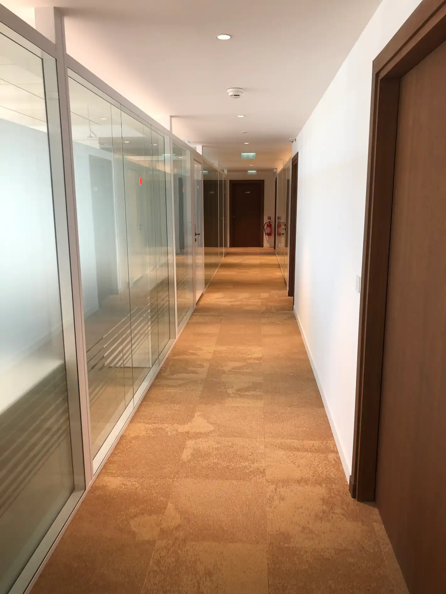 Couloir d'une banque privée aux cloisons dépolies — Monaco